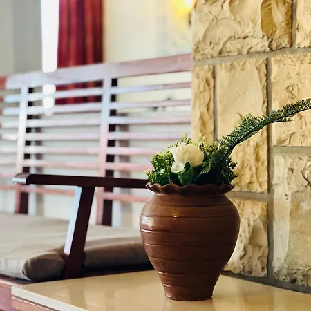 Guest house Bela Albufeira
