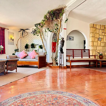 Guest house Bela *