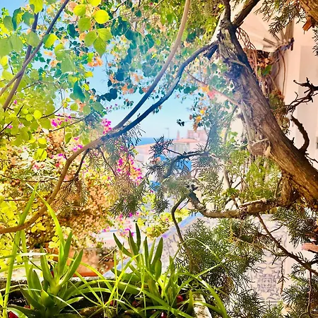 Гостевой дом Bela Албуфейра